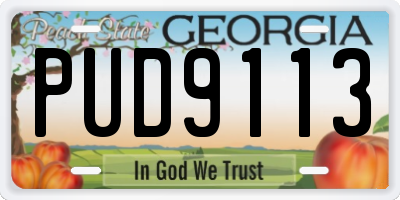 GA license plate PUD9113
