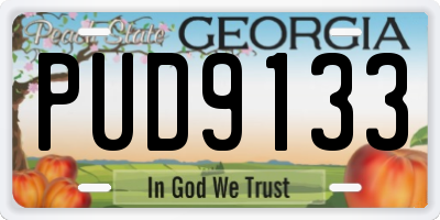 GA license plate PUD9133