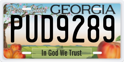 GA license plate PUD9289