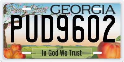 GA license plate PUD9602