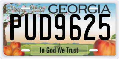GA license plate PUD9625
