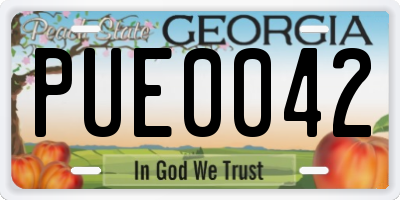 GA license plate PUE0042
