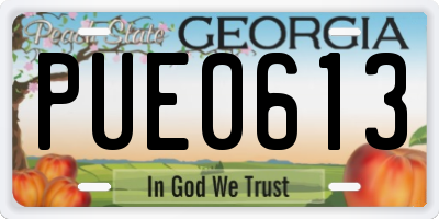 GA license plate PUE0613