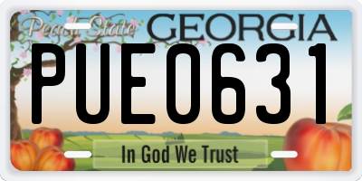 GA license plate PUE0631