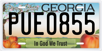 GA license plate PUE0855
