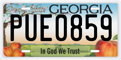 GA license plate PUE0859