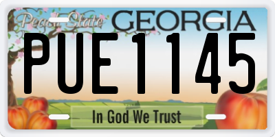 GA license plate PUE1145