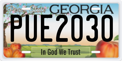 GA license plate PUE2030