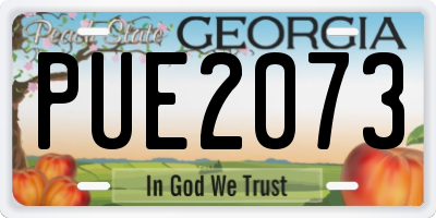 GA license plate PUE2073