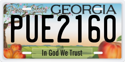 GA license plate PUE2160