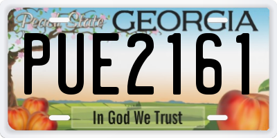 GA license plate PUE2161