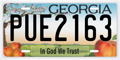 GA license plate PUE2163