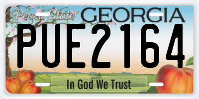 GA license plate PUE2164