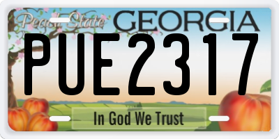 GA license plate PUE2317
