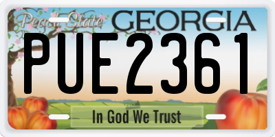 GA license plate PUE2361