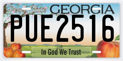 GA license plate PUE2516