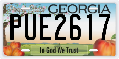 GA license plate PUE2617