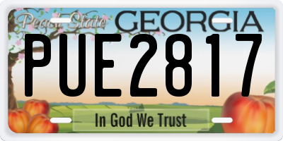GA license plate PUE2817