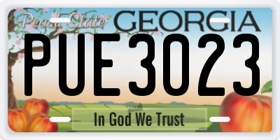 GA license plate PUE3023