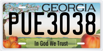 GA license plate PUE3038