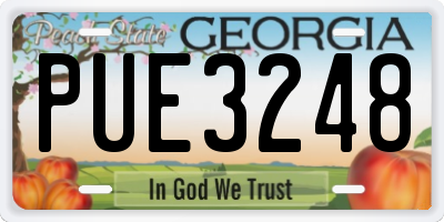 GA license plate PUE3248
