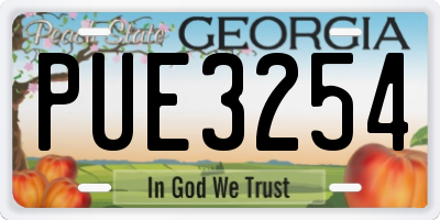 GA license plate PUE3254