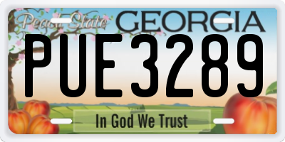 GA license plate PUE3289