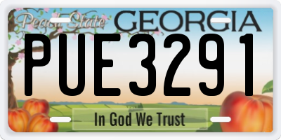 GA license plate PUE3291