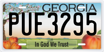 GA license plate PUE3295