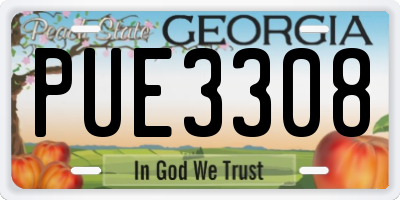 GA license plate PUE3308