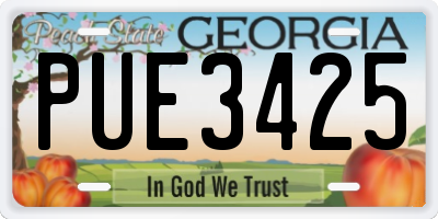 GA license plate PUE3425