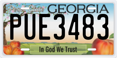 GA license plate PUE3483