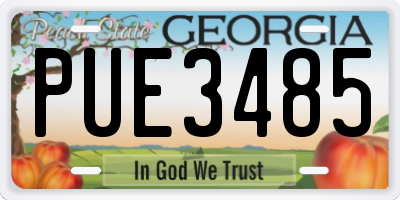 GA license plate PUE3485