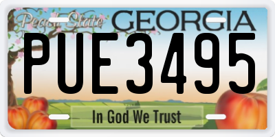GA license plate PUE3495