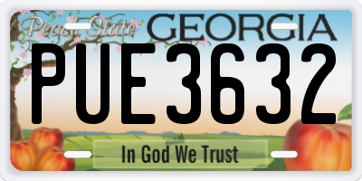 GA license plate PUE3632