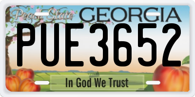 GA license plate PUE3652