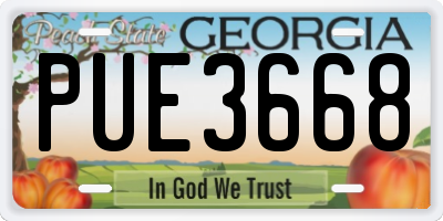 GA license plate PUE3668