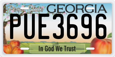 GA license plate PUE3696