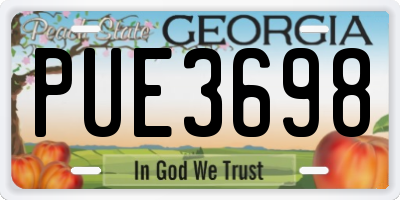 GA license plate PUE3698