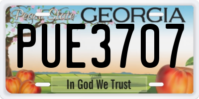 GA license plate PUE3707