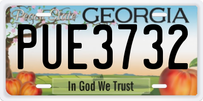 GA license plate PUE3732