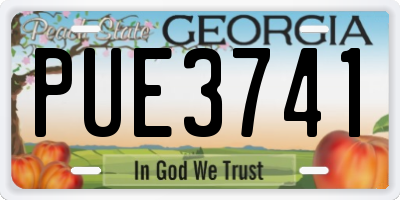 GA license plate PUE3741