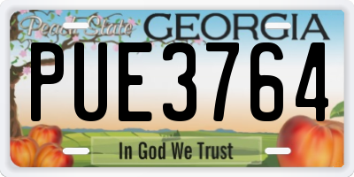 GA license plate PUE3764