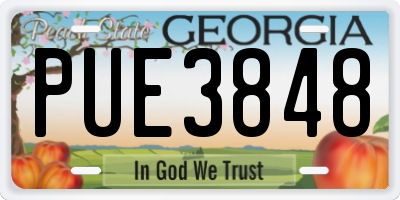 GA license plate PUE3848