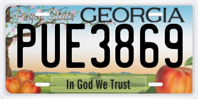 GA license plate PUE3869