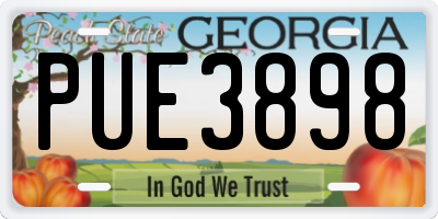GA license plate PUE3898