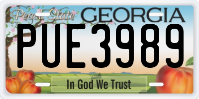 GA license plate PUE3989