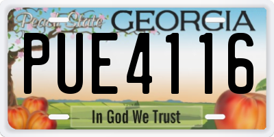 GA license plate PUE4116