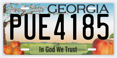 GA license plate PUE4185