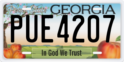 GA license plate PUE4207